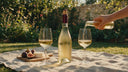 Beste alcoholvrije witte wijn: 5 toppers en 3 afraders - The Wine Box