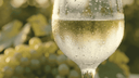 Droge Witte Wijn: Welke Soorten Zijn Er en Wat Kies Je Wanneer? - The Wine Box