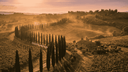 Italiaanse Wijn: Van Chianti tot Barolo in 10 Minuten - The Wine Box