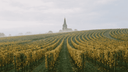 Pinot Noir Uitgelegd: van Bourgogne tot Nieuw-Zeeland - The Wine Box