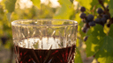Sulfieten in Wijn: Moet Je Je Zorgen Maken? - The Wine Box